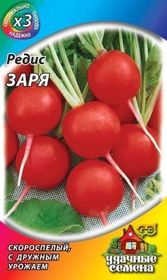 Семена РЕДИС Заря ГАВРИШ металл