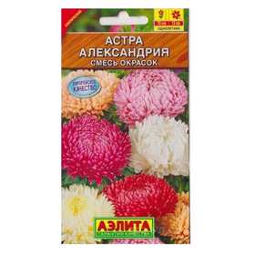 Семена АСТРА Александрия  АЭЛИТА