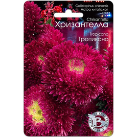 Семена АСТРА Хризантелла Тропикана 30шт (Биотехника)