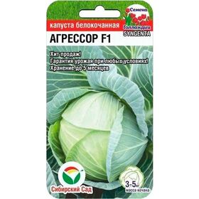 Семена КАПУСТА Б/К Агрессор 10шт (Сиб. Сад)