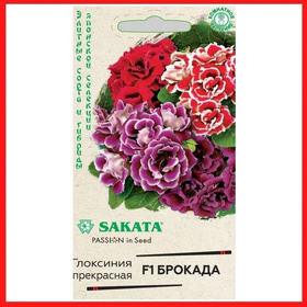 Семена ГЛОКСИНИЯ Брокада смесь (Гавриш)