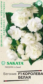 Семена БЕГОНИЯ Королева белая  4шт. Гавриш